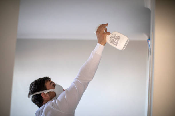 Best Post-Flood Mold Remediation in Black Point Green Point, CA